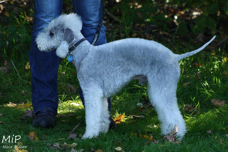 2010-10-03 Coursing-Training GE (8).jpg